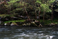 O R&iacute;o Eo ao seu paso por San Tirso de Abres / Foto: DavidGorgojo