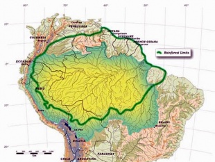 Demarcaci&oacute;n da selva da Amazonia
