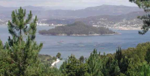 Illa de Tambo, vista dende Mar&iacute;n. / Foto: Wikimedia Commons