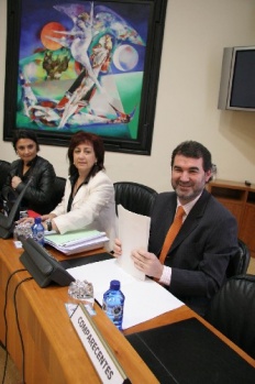O vicepresidente na comisi&oacute;n