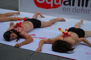 Acto contra as touradas do colectivo Equanimal, desenvolvido o pasado ver&aacute;n en Pontevedra