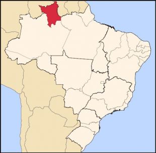 Mapa do estado fronteirizo de Roraima, onde se atopan os asentamentos ind&iacute;xenas de Raposa Serra do Sol