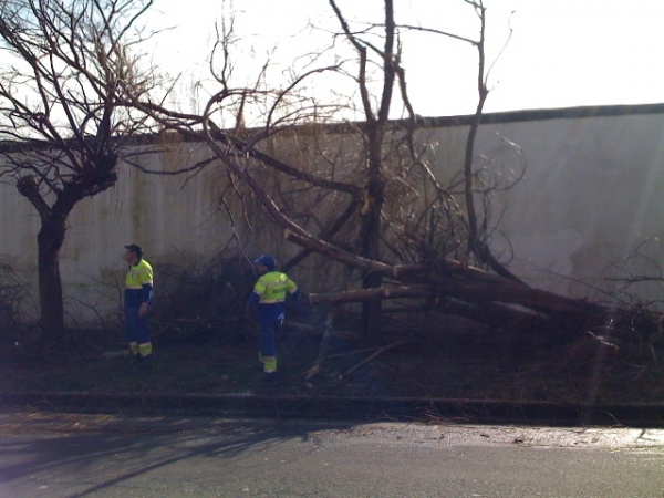 Traballadores do Concello retiraron as p&oacute;las da v&iacute;a