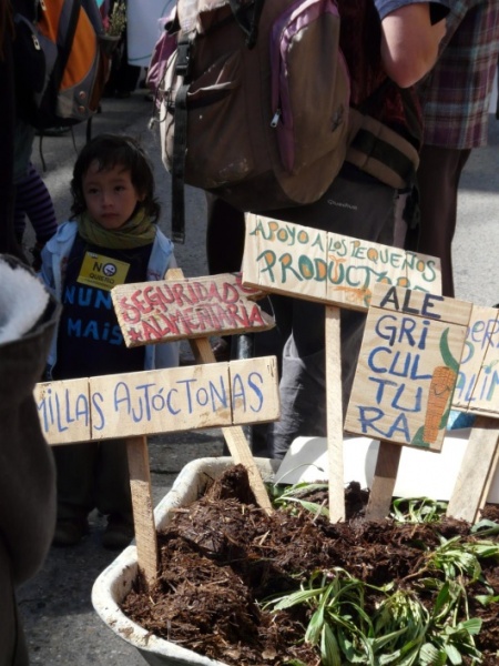 Marcha contra os transx&eacute;nicos